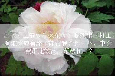 出国打工需要什么条件？我想出国打工，有谁比较有路子能帮我介绍一下，中介费用比较高...帮帮忙...？