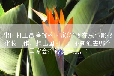 出国打工最挣钱的国家(我现在从事影楼化妆工作，想出国打工，不知道去哪个国家会挣钱多一点，)