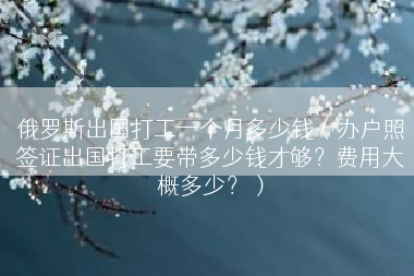 俄罗斯出国打工一个月多少钱（办户照签证出国打工要带多少钱才够？费用大概多少？）