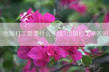 出国打工需要什么手续?出国打工辛苦吗?