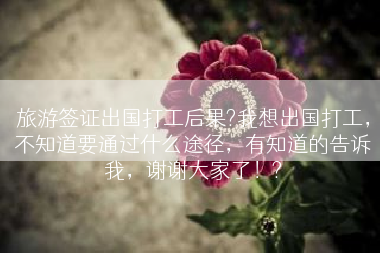 旅游签证出国打工后果?我想出国打工，不知道要通过什么途径，有知道的告诉我，谢谢大家了！?