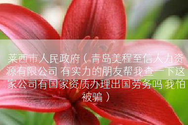 莱西市人民政府（青岛美程至信人力资源有限公司 有实力的朋友帮我查一下这家公司有国家资质办理出国劳务吗 我怕被骗）