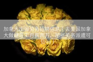 加拿大出国劳务招聘信息（去美国加拿大做建筑工月薪两万，那些劳务派遣可信吗）