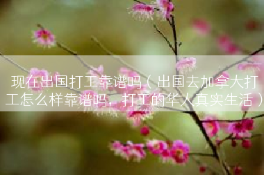 现在出国打工靠谱吗（出国去加拿大打工怎么样靠谱吗，打工的华人真实生活）