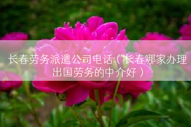 长春劳务派遣公司电话（长春哪家办理出国劳务的中介好）