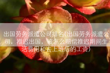 出国劳务派遣公司排名(出国劳务派遣公司，推迟出国，该怎么赔偿推迟期间生活费用和去上班后的工资)