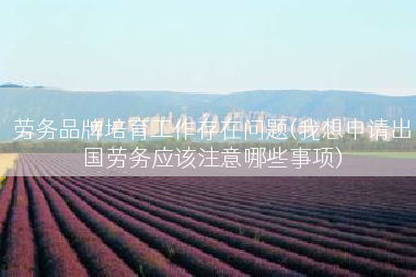 劳务品牌培育工作存在问题(我想申请出国劳务应该注意哪些事项)