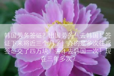 韩国劳务签证？出国劳务！去韩国！签证下来将近三个月了！办的是多次往返签证交了四万块！去年去韩国一次！现在三年多次？