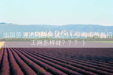 出国劳务招聘信息 2020（宝鸡市信息招工网怎样找？？？）