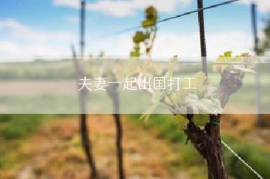 夫妻一起出国打工