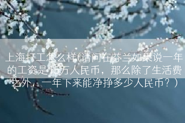 上海打工怎么样(请问在芬兰如果说一年的工资是15万人民币，那么除了生活费之外，一年下来能净挣多少人民币？)