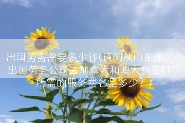 出国劳务需要多少钱(请问从山东潍坊的出国劳务公司去加拿大和澳大利亚打工所需的服务费各是多少？)
