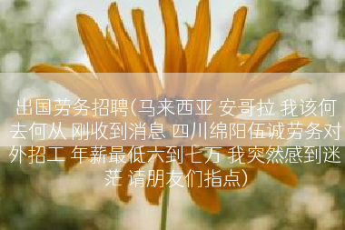 出国劳务招聘(马来西亚 安哥拉 我该何去何从 刚收到消息 四川绵阳伍诚劳务对外招工 年薪最低六到七万 我突然感到迷茫 请朋友们指点)