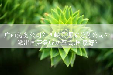 广西劳务公司？西峡县哪家劳务公司外派出国劳务成功率高,国家好？