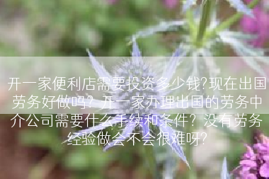 开一家便利店需要投资多少钱?现在出国劳务好做吗？开一家办理出国的劳务中介公司需要什么手续和条件？没有劳务经验做会不会很难呀?