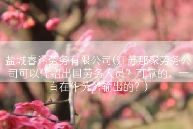 盐城睿涵劳务有限公司(江苏那家劳务公司可以代招出国劳务人员？可靠的，一直在作劳务输出的？)