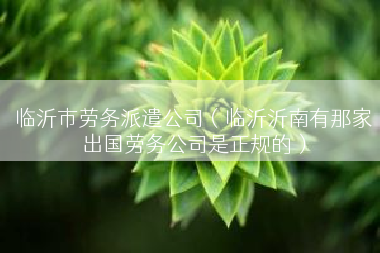 临沂市劳务派遣公司（临沂沂南有那家出国劳务公司是正规的）