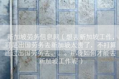新加坡劳务信息网（想去新加坡工作，可是出国劳务去新加坡太贵了，不打算通过出国劳务去。。。那我如何才能去新加坡工作呢）