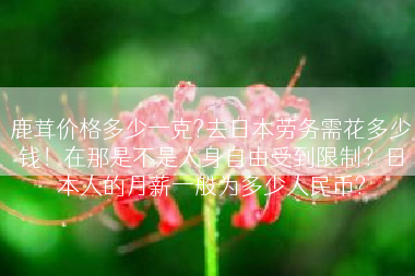 鹿茸价格多少一克?去日本劳务需花多少钱！在那是不是人身自由受到限制？日本人的月薪一般为多少人民币?