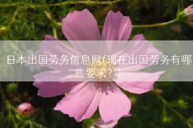 日本出国劳务信息网(现在出国劳务有哪些要求？)
