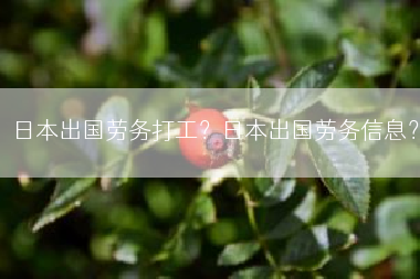 日本出国劳务打工？日本出国劳务信息？
