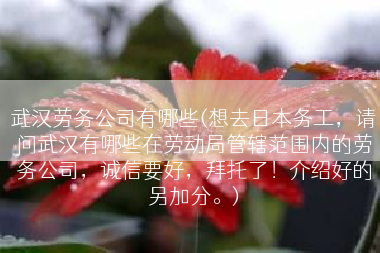 武汉劳务公司有哪些(想去日本务工，请问武汉有哪些在劳动局管辖范围内的劳务公司，诚信要好，拜托了！介绍好的另加分。)