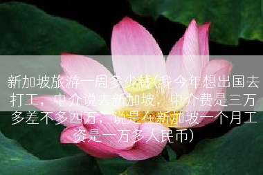 新加坡旅游一周多少钱(我今年想出国去打工，中介说去新加坡，中介费是三万多差不多四万，说是在新加坡一个月工资是一万多人民币)