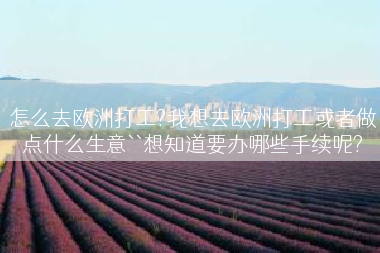 怎么去欧洲打工?我想去欧洲打工或者做点什么生意``想知道要办哪些手续呢?