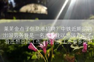 莱芜金点子信息港招聘？中铁近期招聘出国劳务我是一名木工我以出国五年了，我还想出国工作。你们的工资事多少？