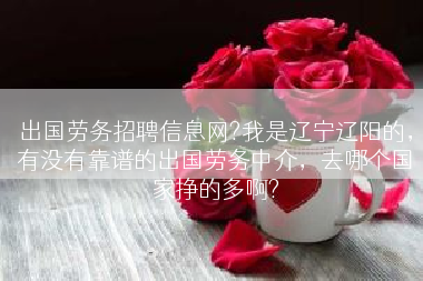 出国劳务招聘信息网?我是辽宁辽阳的，有没有靠谱的出国劳务中介，去哪个国家挣的多啊?