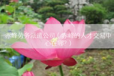 赤峰劳务派遣公司（赤峰的人才交易中心在哪?）