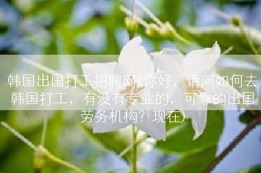 韩国出国打工招聘网(你好，请问如何去韩国打工，有没有专业的，可靠的出国劳务机构？现在)