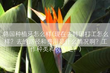 韩国种植牙怎么样(现在去韩国打工怎么样？去的路径和费用是什么情况啊？工作种类和收入是？)