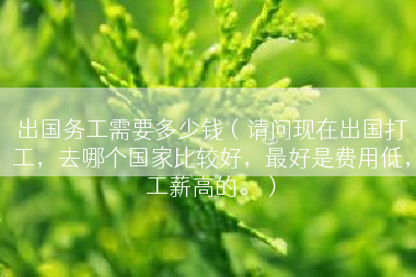 出国务工需要多少钱（请问现在出国打工，去哪个国家比较好，最好是费用低，工薪高的。）