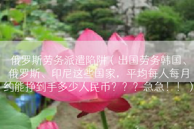 俄罗斯劳务派遣陷阱（出国劳务韩国、俄罗斯、印尼这些国家，平均每人每月约能挣到手多少人民币？？？急急！！）