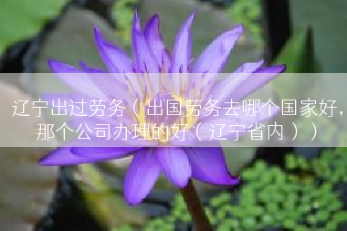 辽宁出过劳务（出国劳务去哪个国家好，那个公司办理的好（辽宁省内））