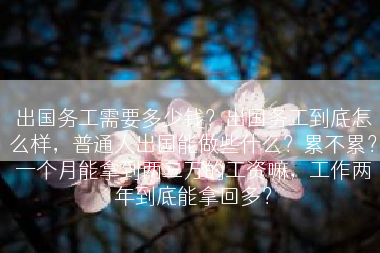 出国务工需要多少钱？出国务工到底怎么样，普通人出国能做些什么？累不累？一个月能拿到两三万的工资嘛，工作两年到底能拿回多？