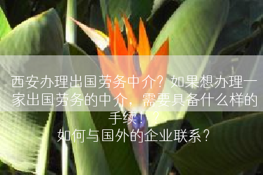 西安办理出国劳务中介？如果想办理一家出国劳务的中介，需要具备什么样的手续！？
如何与国外的企业联系？