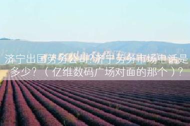 济宁出国劳务公司?济宁劳务市场电话是多少？（亿维数码广场对面的那个）?
