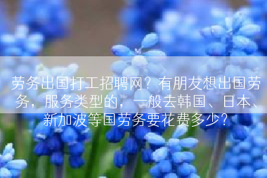 劳务出国打工招聘网？有朋友想出国劳务，服务类型的，一般去韩国、日本、新加波等国劳务要花费多少？