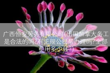 广西恒安劳务有限公司(出国加拿大务工是合法的吗?有正规公司帮办理吗?全部费用多少钱?)