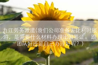 九江劳务派遣(我们公司准备去比利时旅游，是需要什么材料办理出国签证。 跟团队好还是自己办理好呢？)