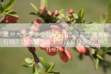 澳洲大龙虾多少钱一只(出国务工澳洲能行吗？20000多去了可以有月薪2万的工作吗？)