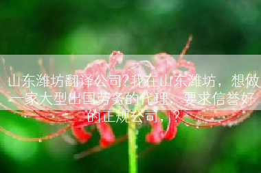 山东潍坊翻译公司?我在山东潍坊，想做一家大型出国劳务的代理，要求信誉好的正规公司，?
