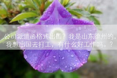 公司派遣函格式出国？我是山东德州的，我想出国去打工，有什么好工作吗。？