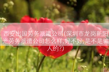 西安出国劳务派遣公司(深圳市龙岗新阳光劳务派遣公司怎么样,好不好,是不是骗人的?)