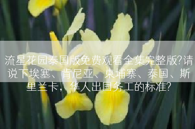 流星花园泰国版免费观看全集完整版?请说下埃塞、肯尼亚、柬埔寨、泰国、斯里兰卡，华人出国务工的标准?