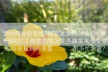 沙特阿拉伯专线?我要去沙特阿拉伯中铁十8局打工那里的情况是否属实来个专业的回答复制的滚蛋..........帮下忙急需?