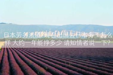 日本劳务派遣?现在出国去日本务工怎么样 大约一年能挣多少 请知情者说一下?