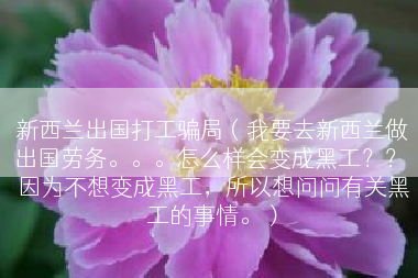 新西兰出国打工骗局（我要去新西兰做出国劳务。。。怎么样会变成黑工？？ 因为不想变成黑工，所以想问问有关黑工的事情。）
